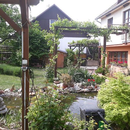 Pension Zeleny Strom Mikulov Ngoại thất bức ảnh